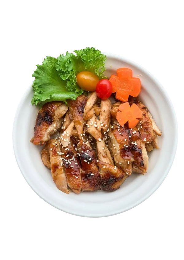 Teriyaki Chicken Rice